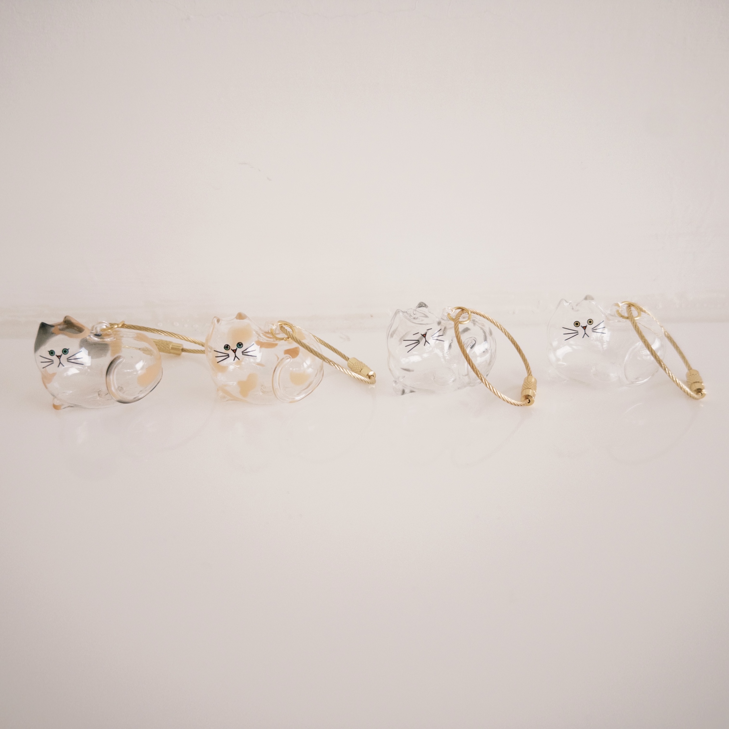 fxn 2025-09-19 122952.851