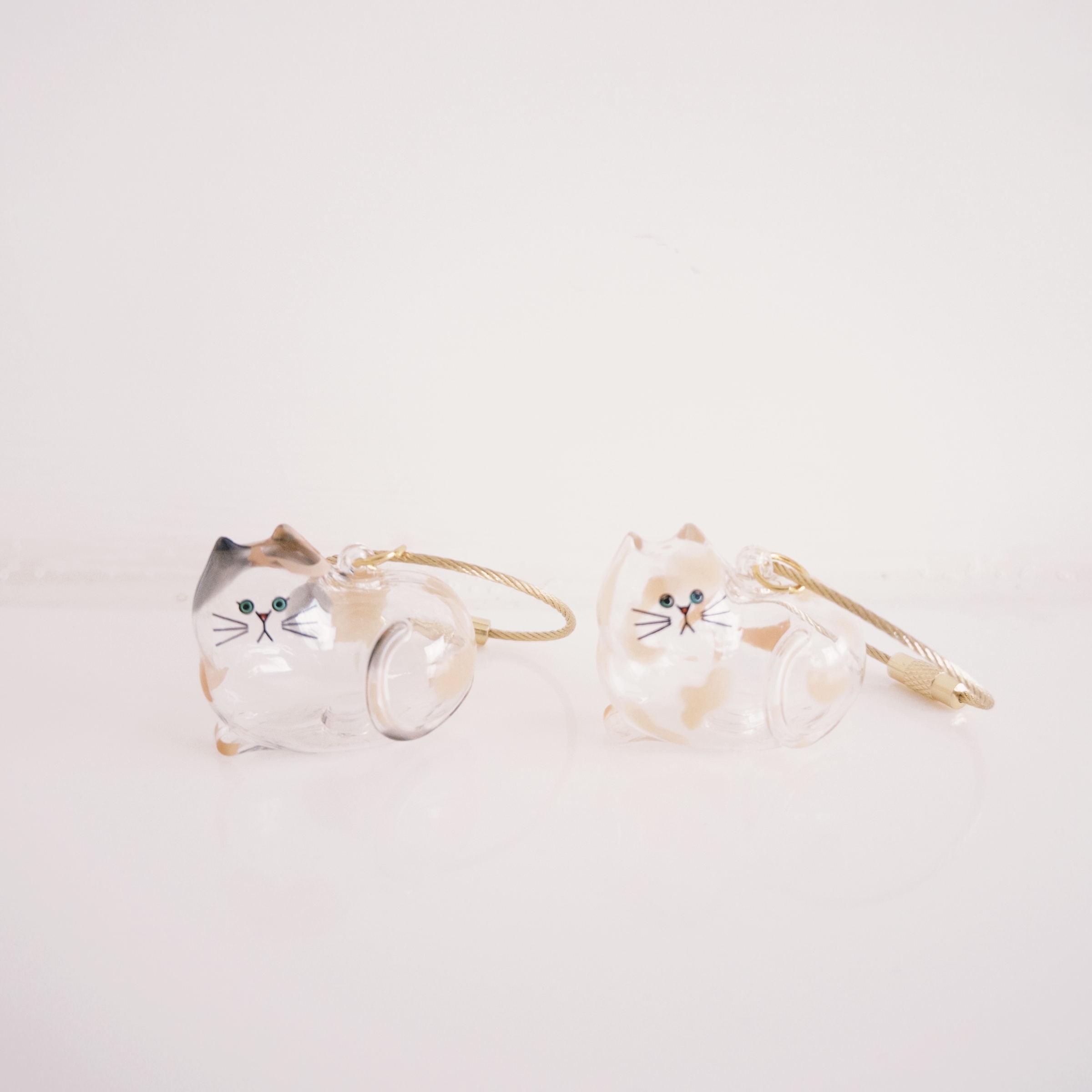 fxn 2025-09-19 123337.722