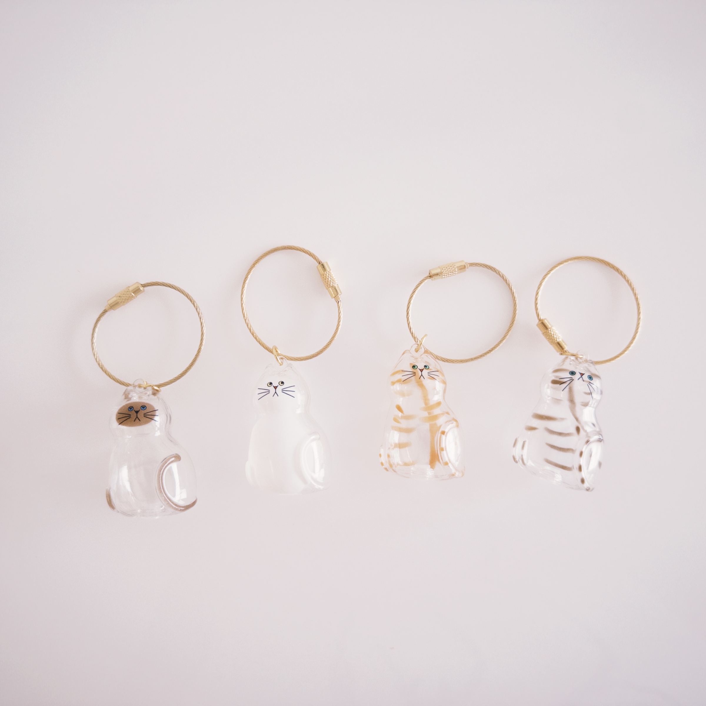 fxn 2025-09-19 123302.535