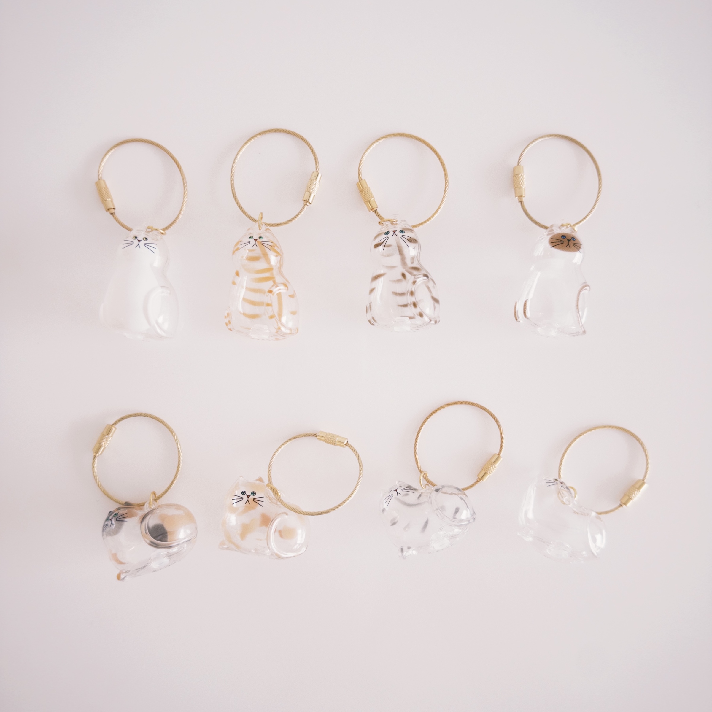 fxn 2025-09-19 124005.279