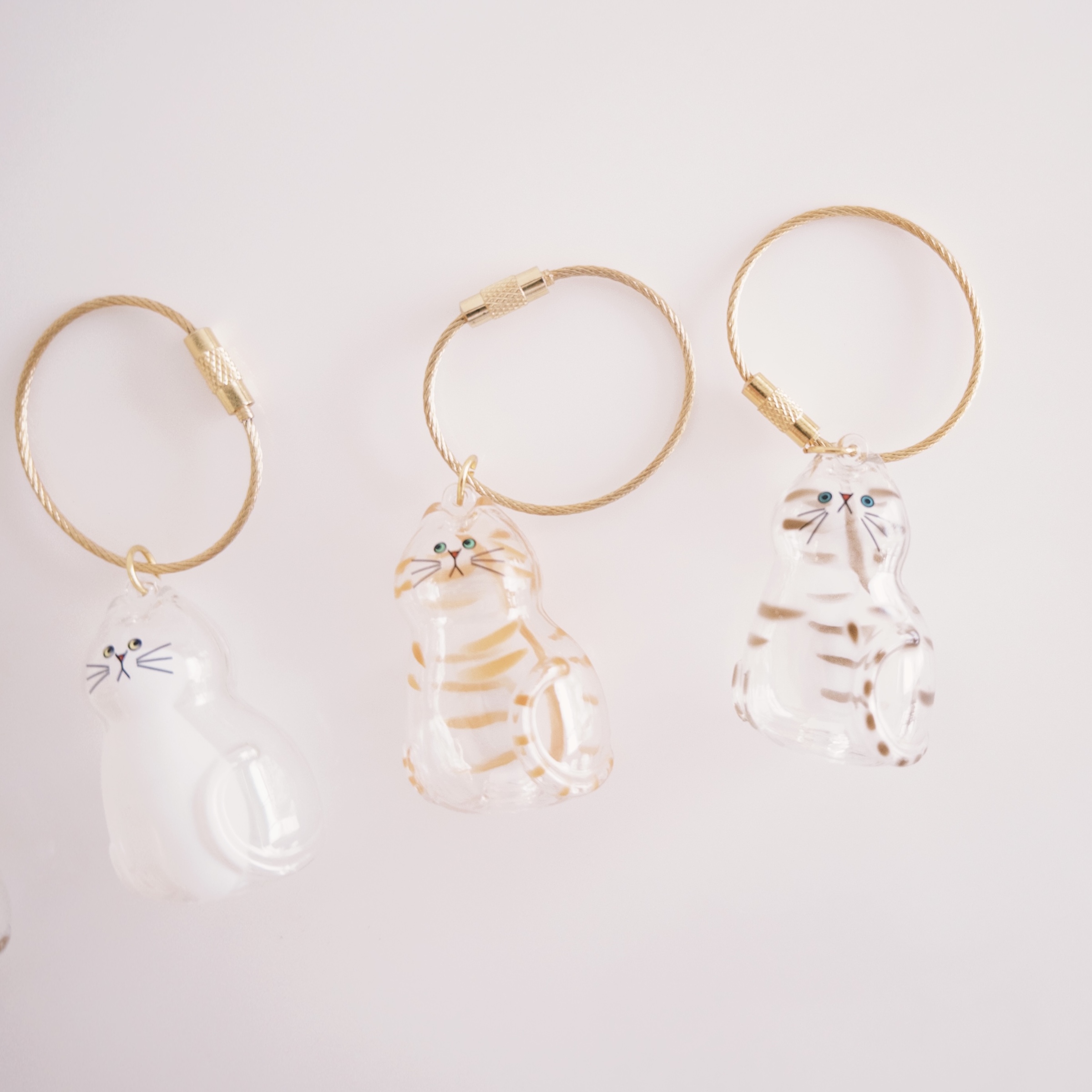 fxn 2025-09-19 123419.934