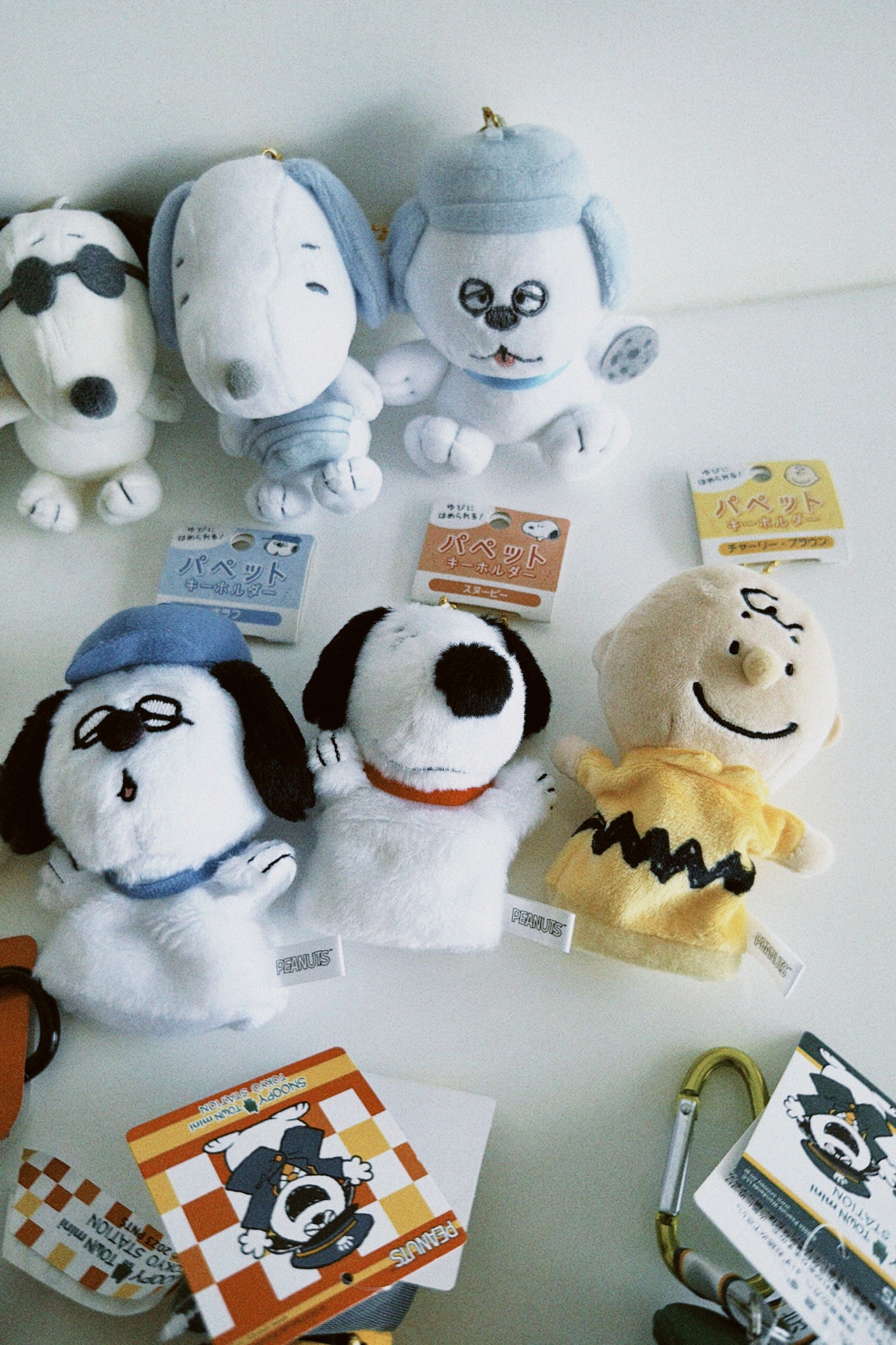 classicu 2025-11-11 120947.961