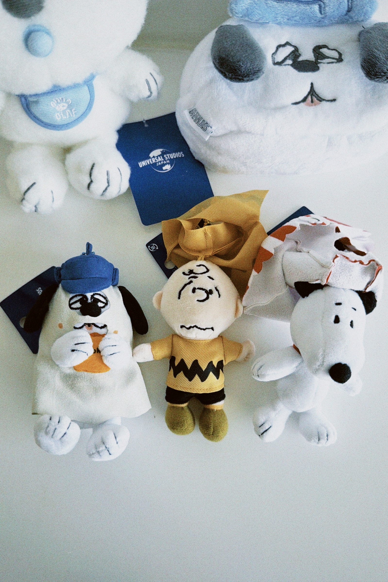 classicu 2025-11-11 121642.250