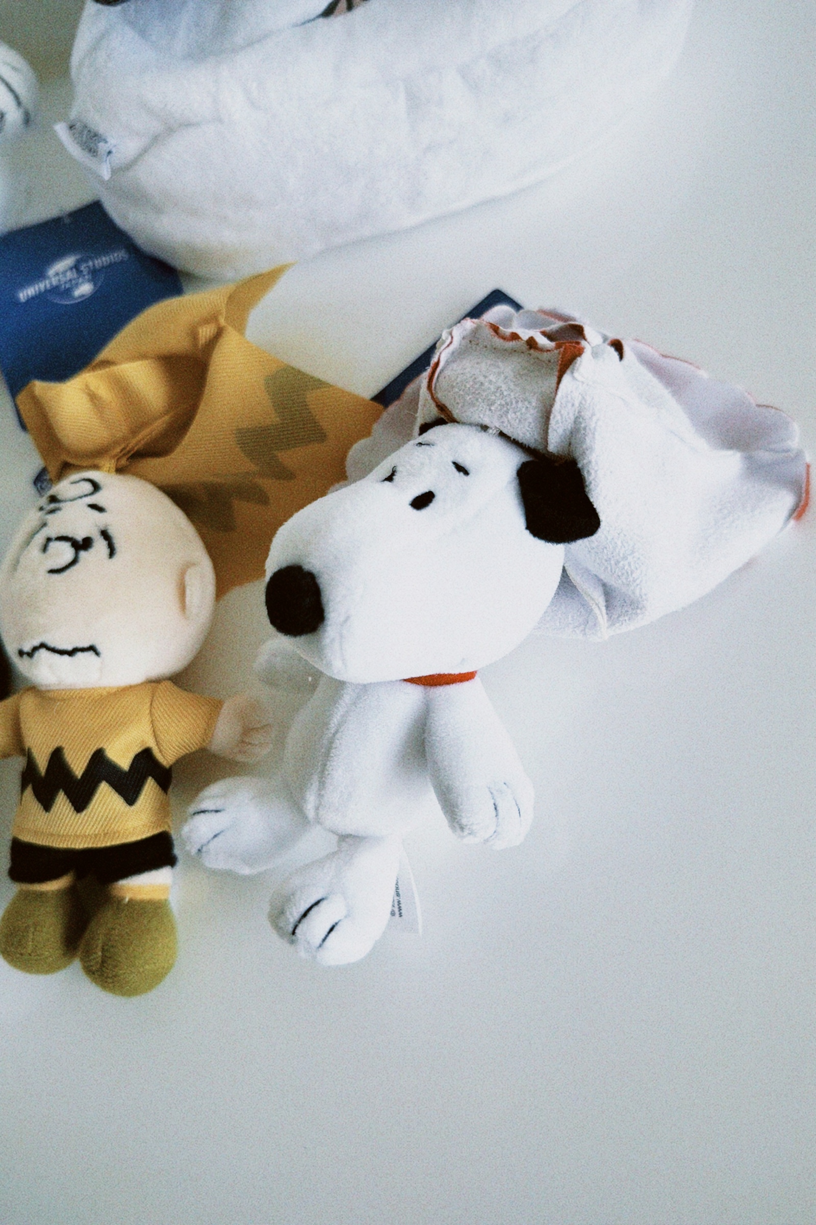 classicu 2025-11-11 121653.453