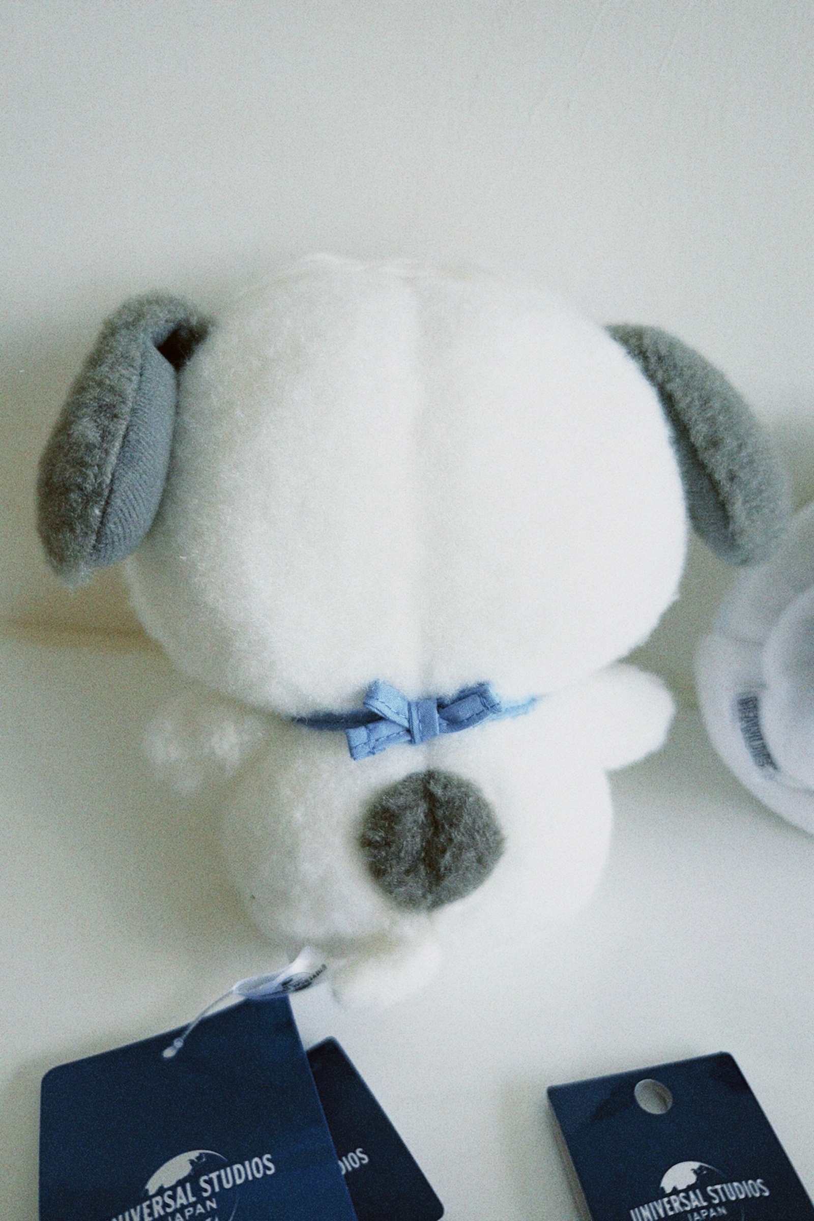 classicu 2025-11-11 121528.462