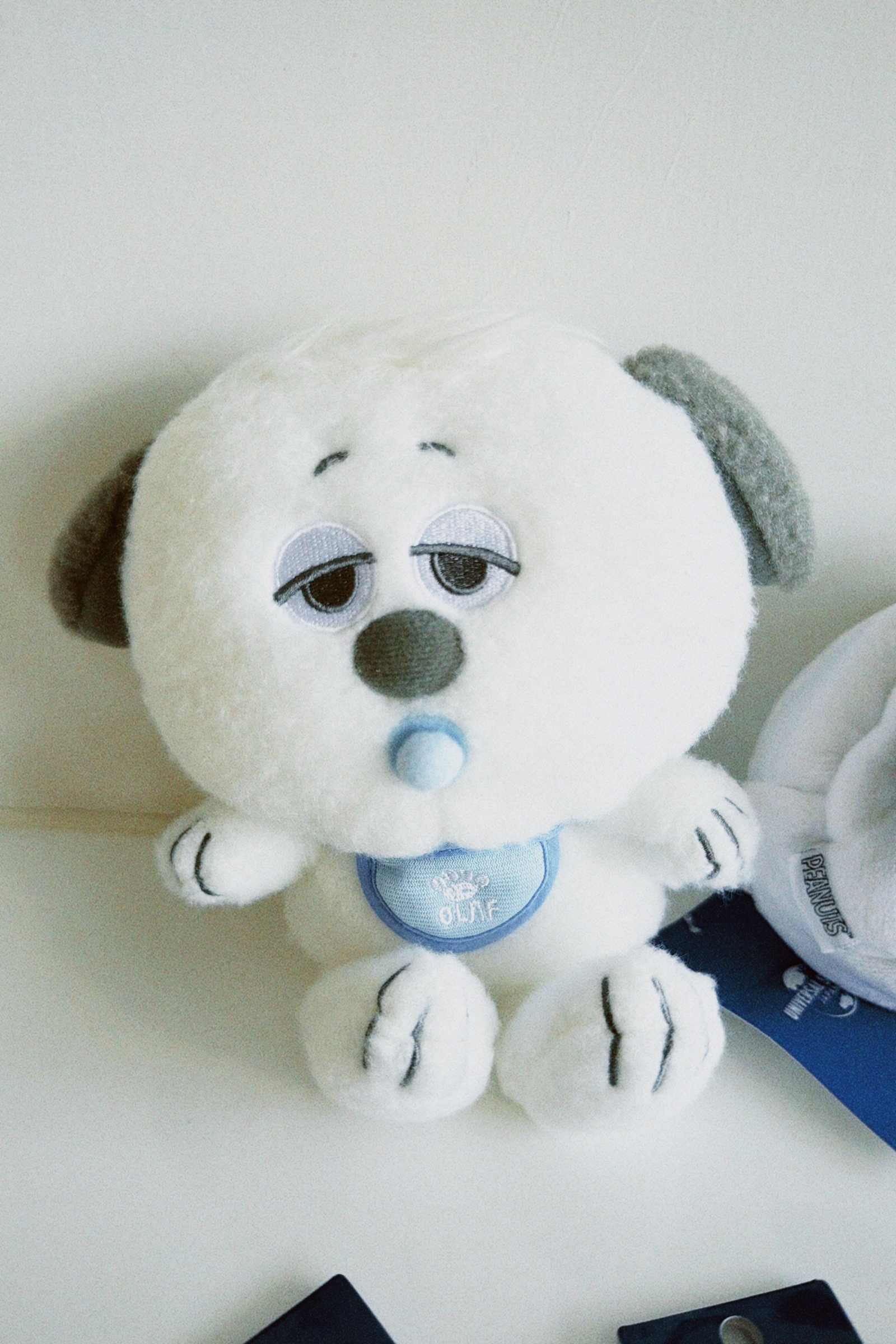 classicu 2025-11-11 121515.979