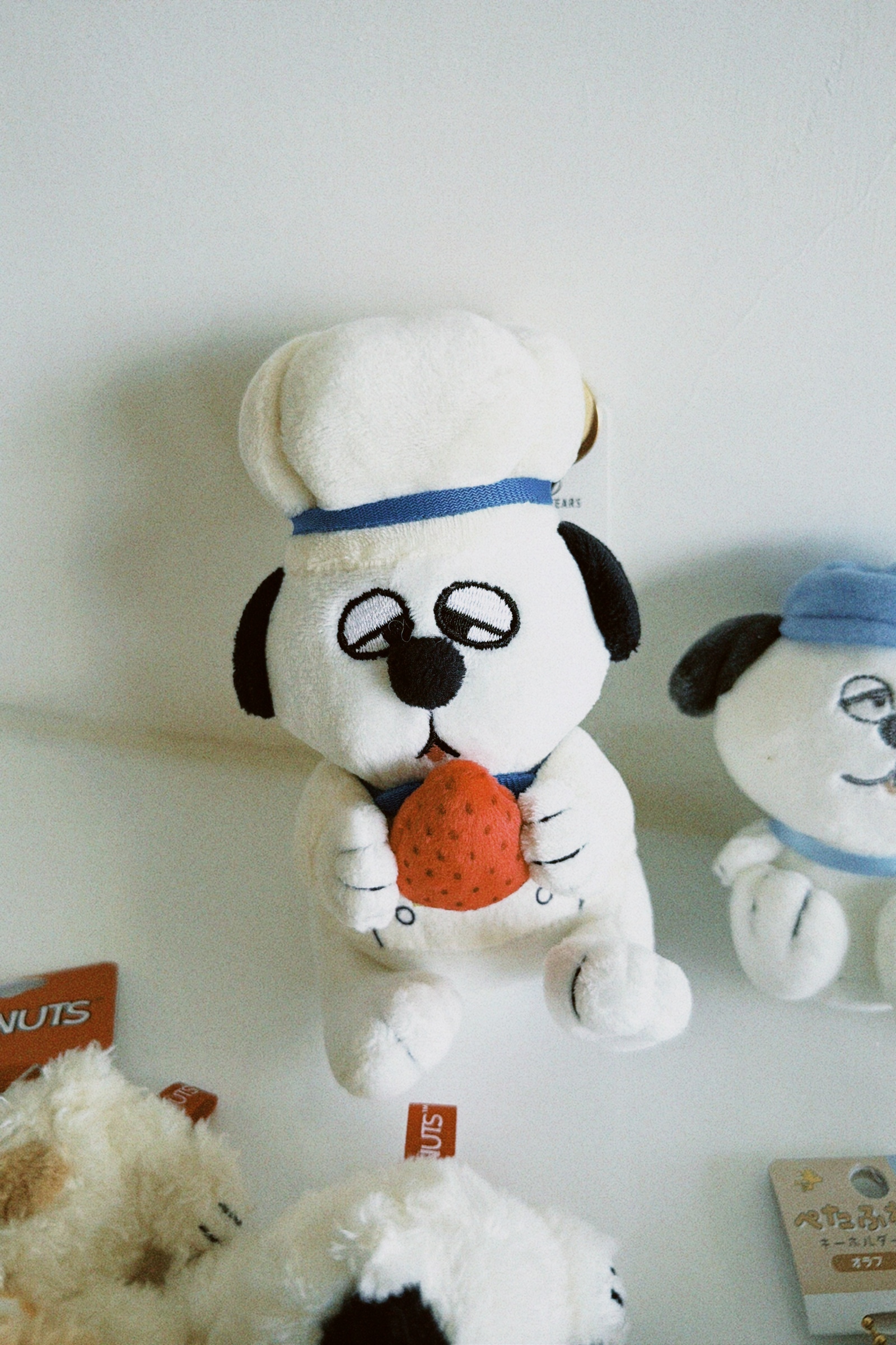 classicu 2025-11-11 120916.761