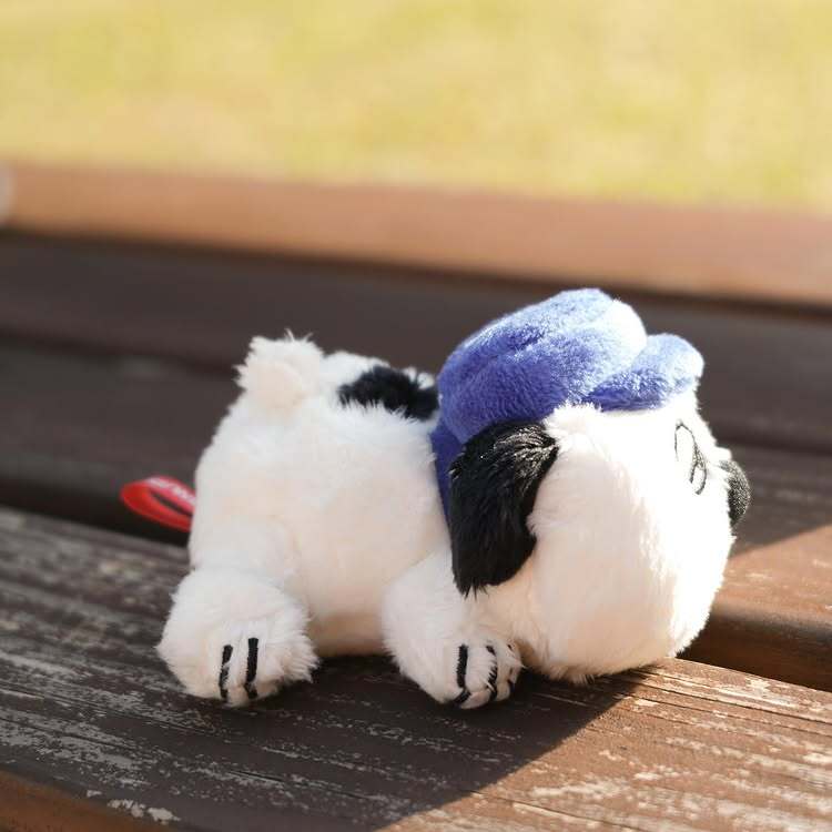 784614784_473148070_18280789240216323_7322108806618845950_n