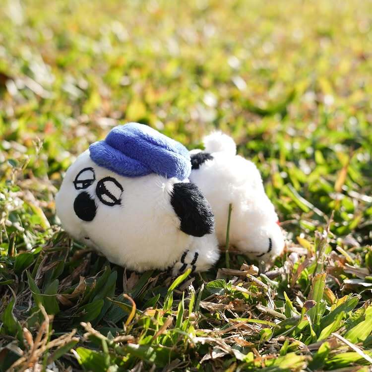 784614776_472868337_18280789186216323_4039879289592898510_n