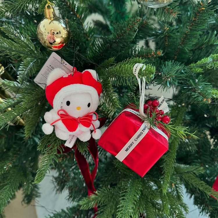 785506051_470470875_1399382724371492_8865741704168081153_n