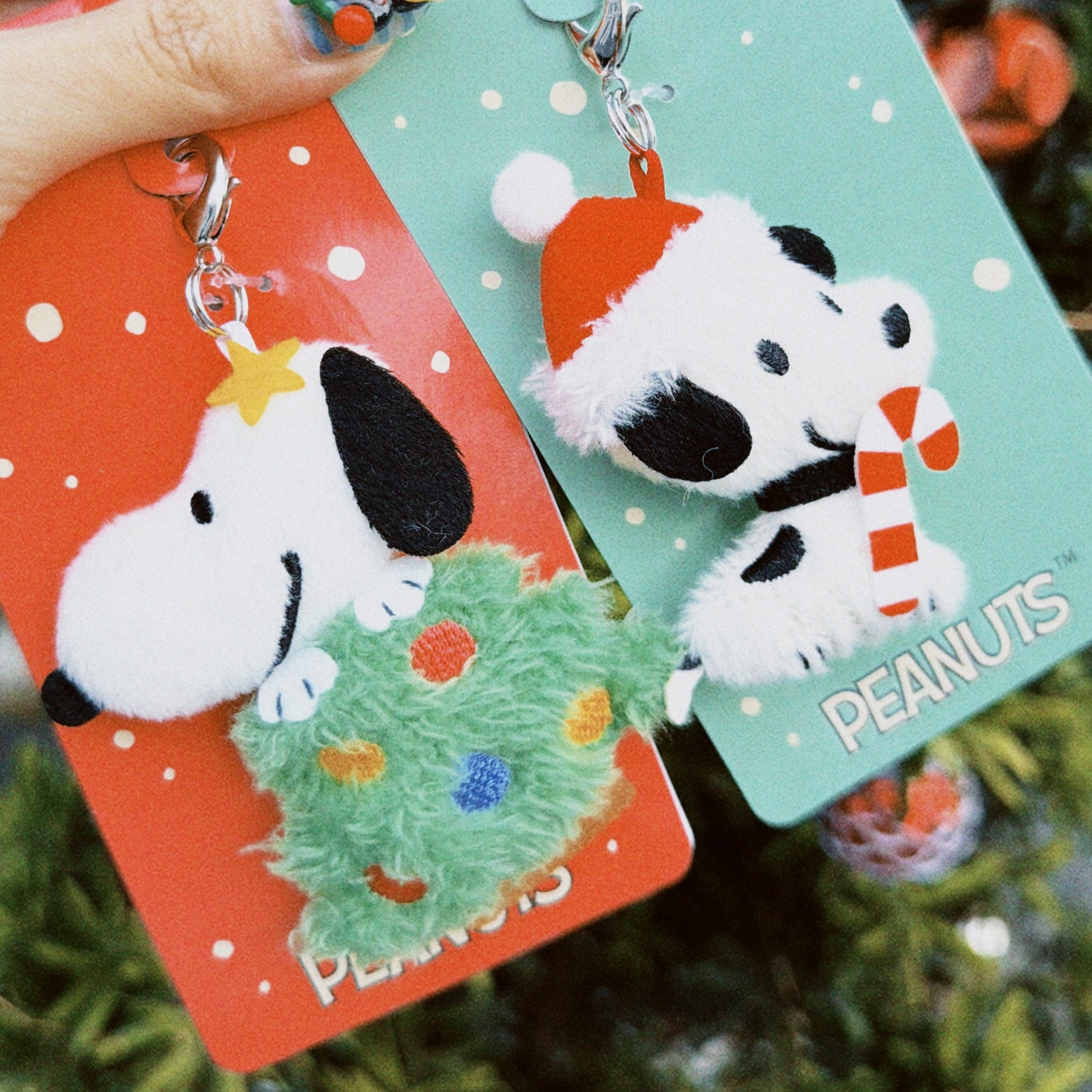 classicu 2025-12-09 155843.640