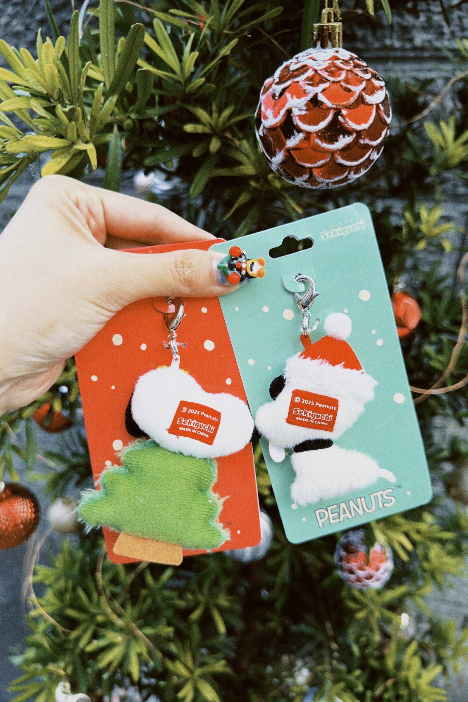 classicu 2025-12-09 155856.086