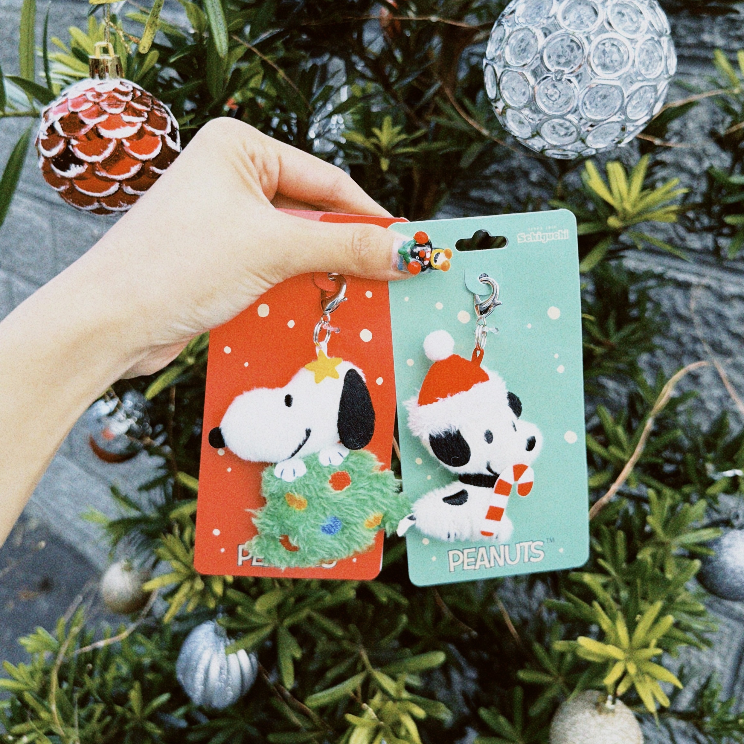 classicu 2025-12-09 155818.350