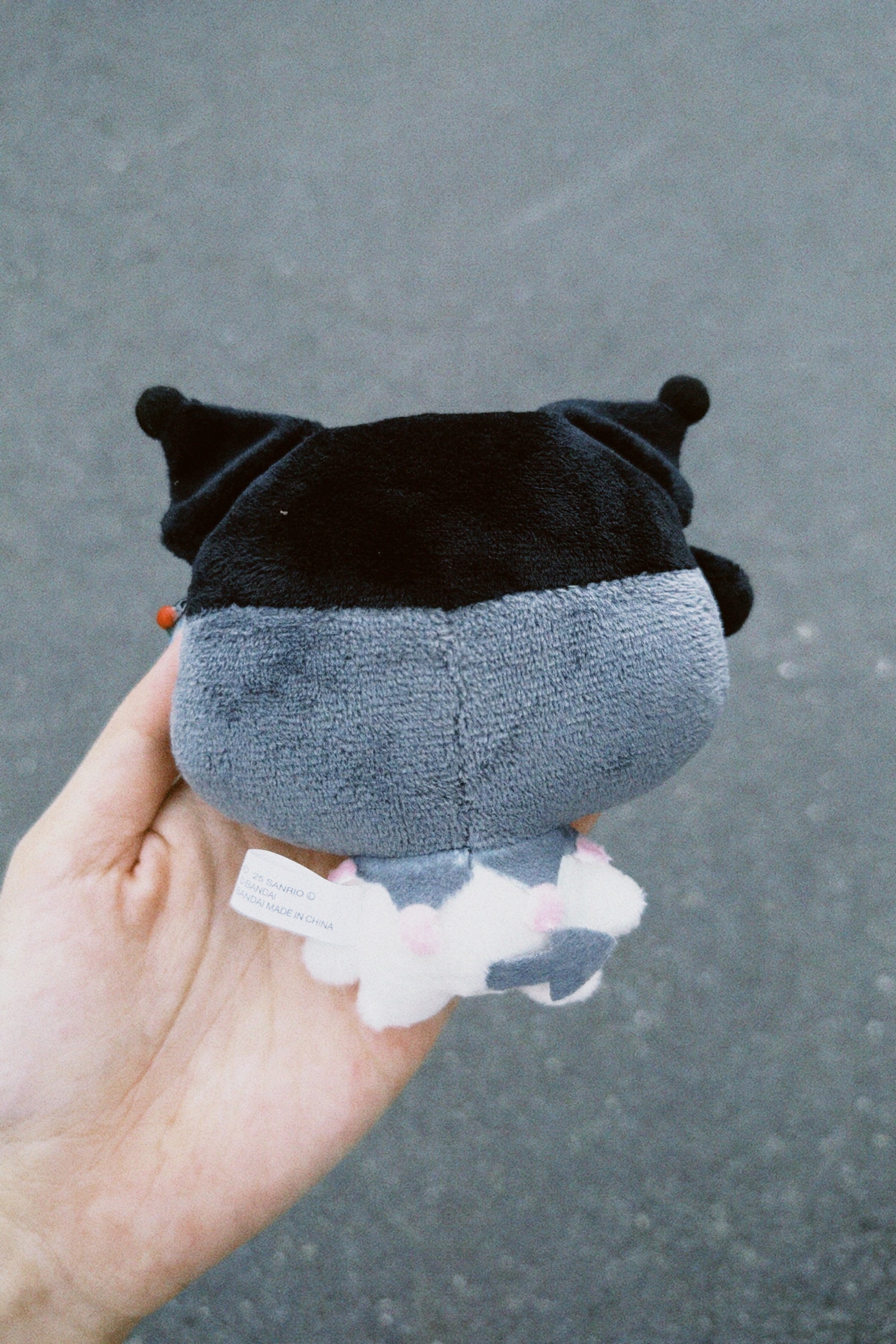 classicu 2025-12-15 125222.697