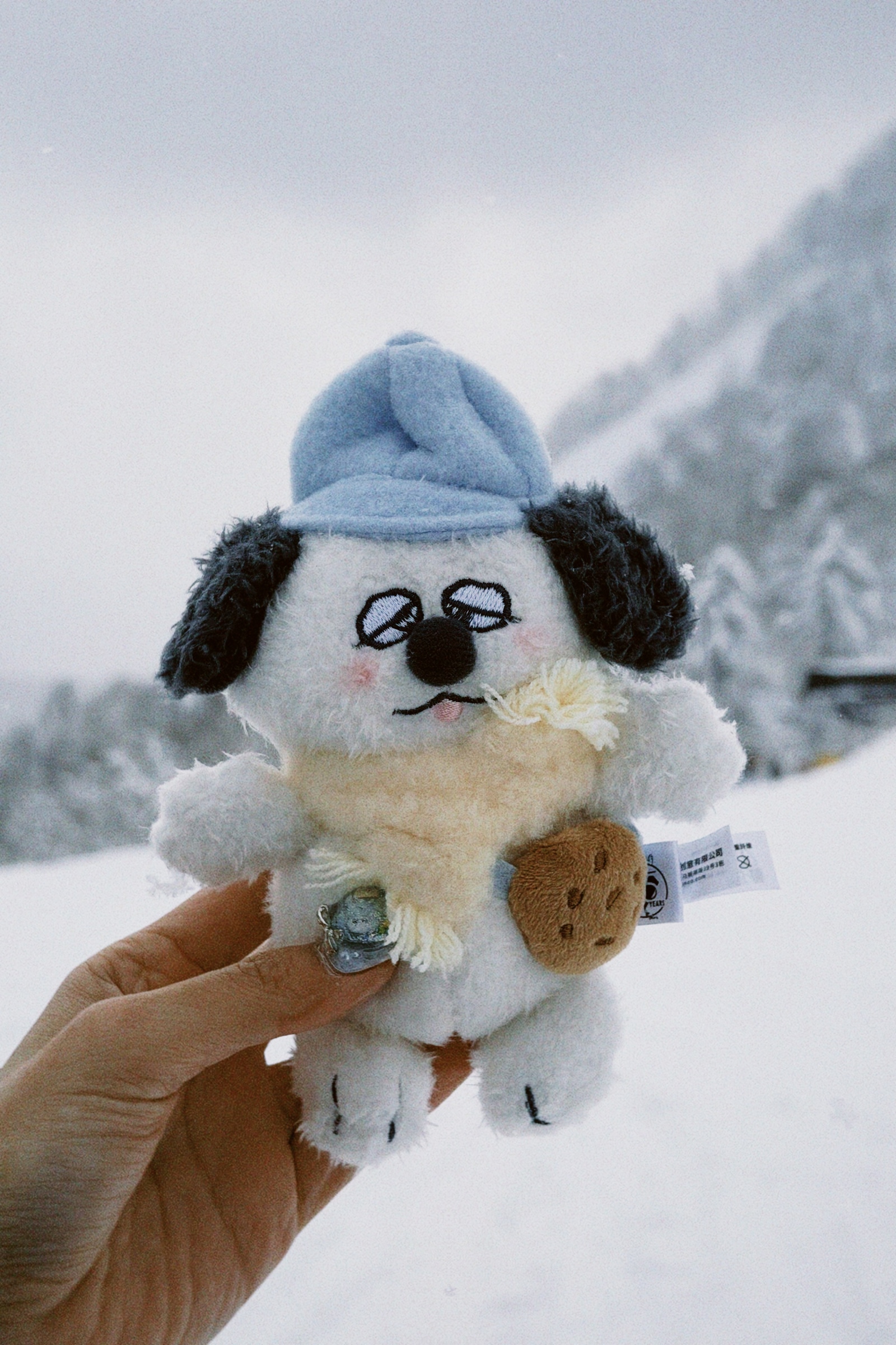 classicu 2026-01-10 231347.868