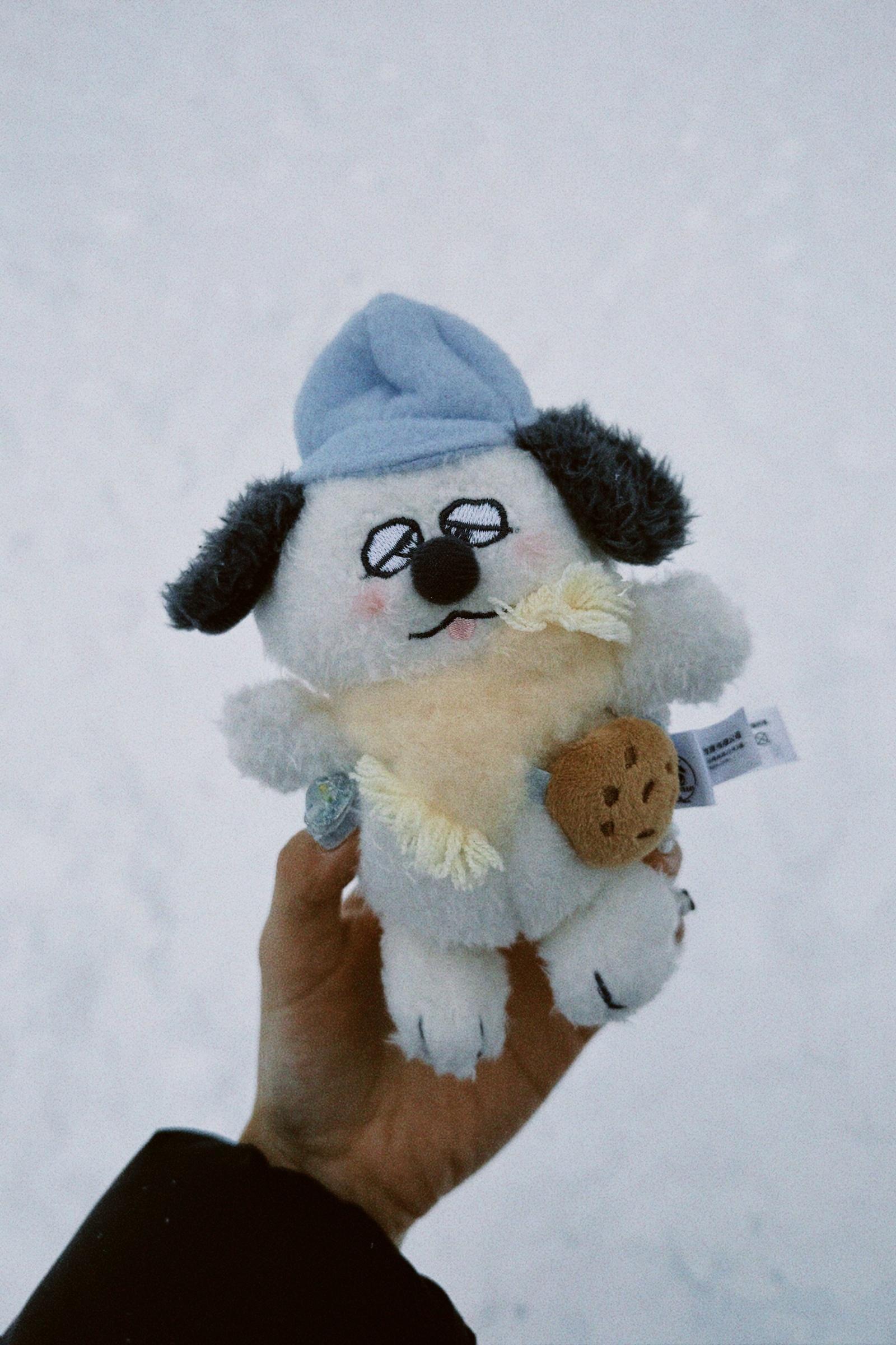 classicu 2026-01-10 231347.667