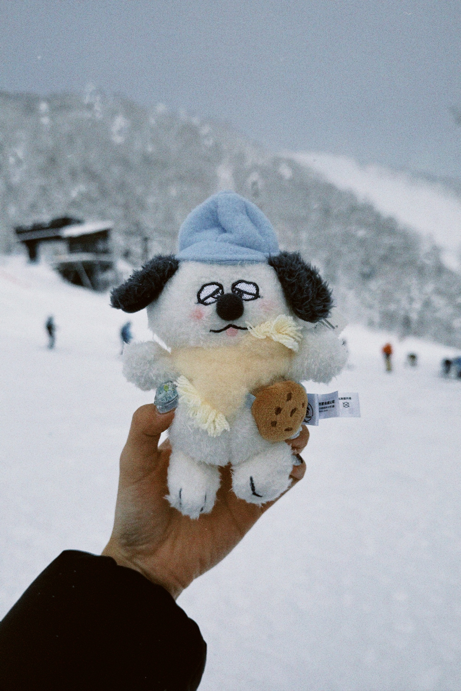 classicu 2026-01-10 231346.462