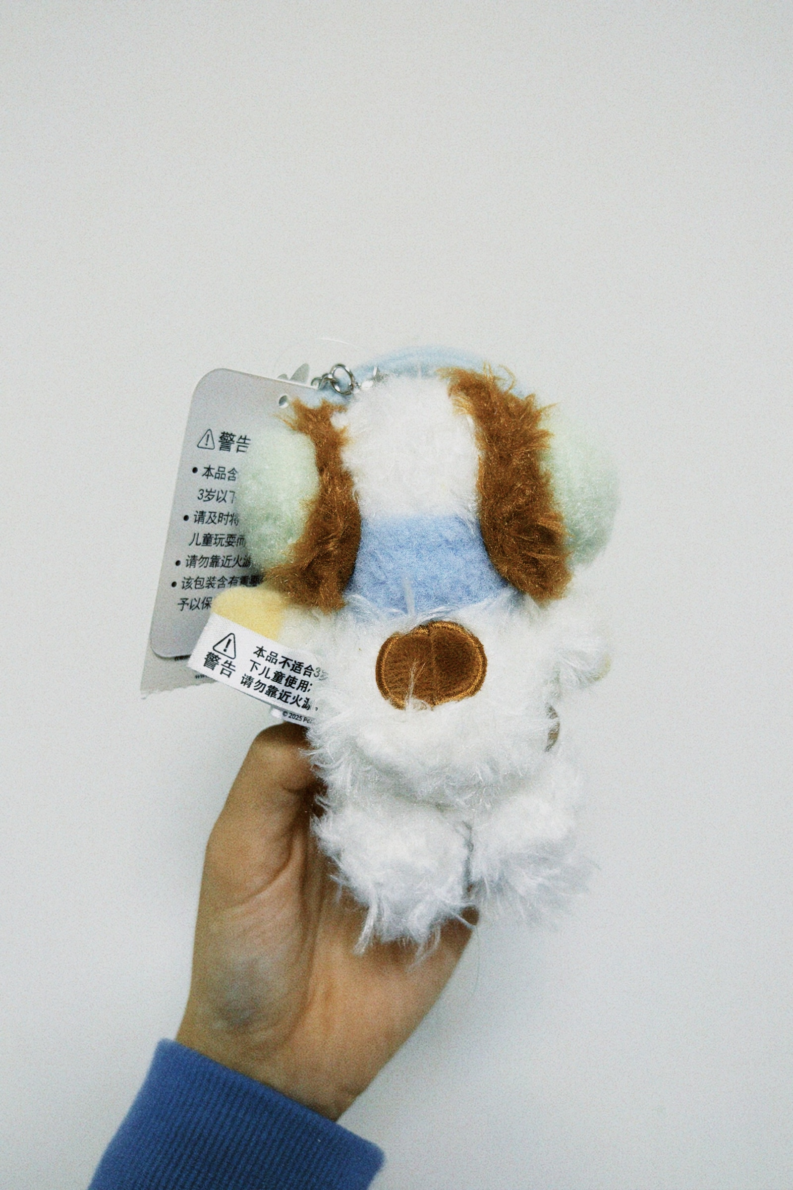 classicu 2026-01-11 112639.040