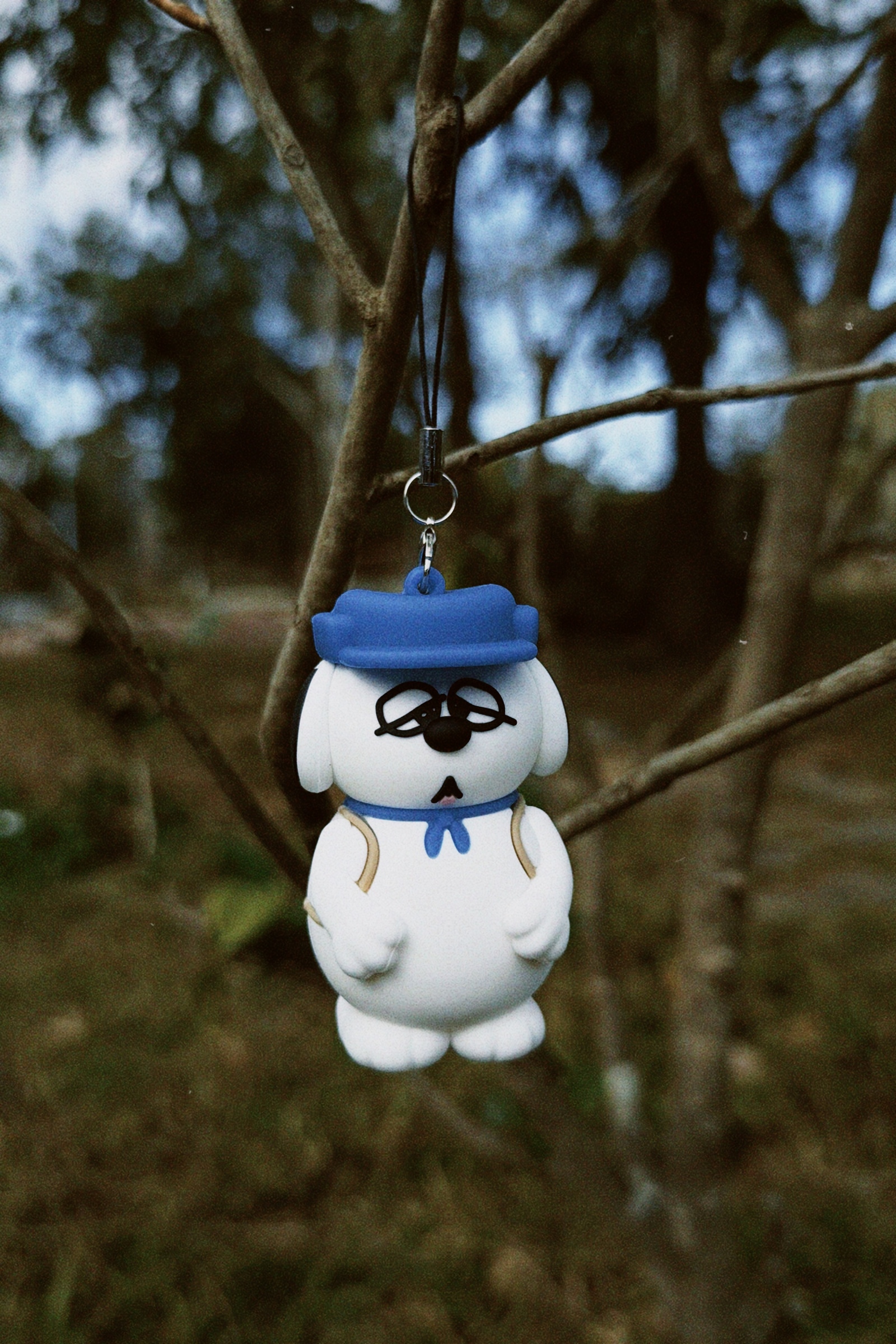 classicu 2026-01-13 094139.104