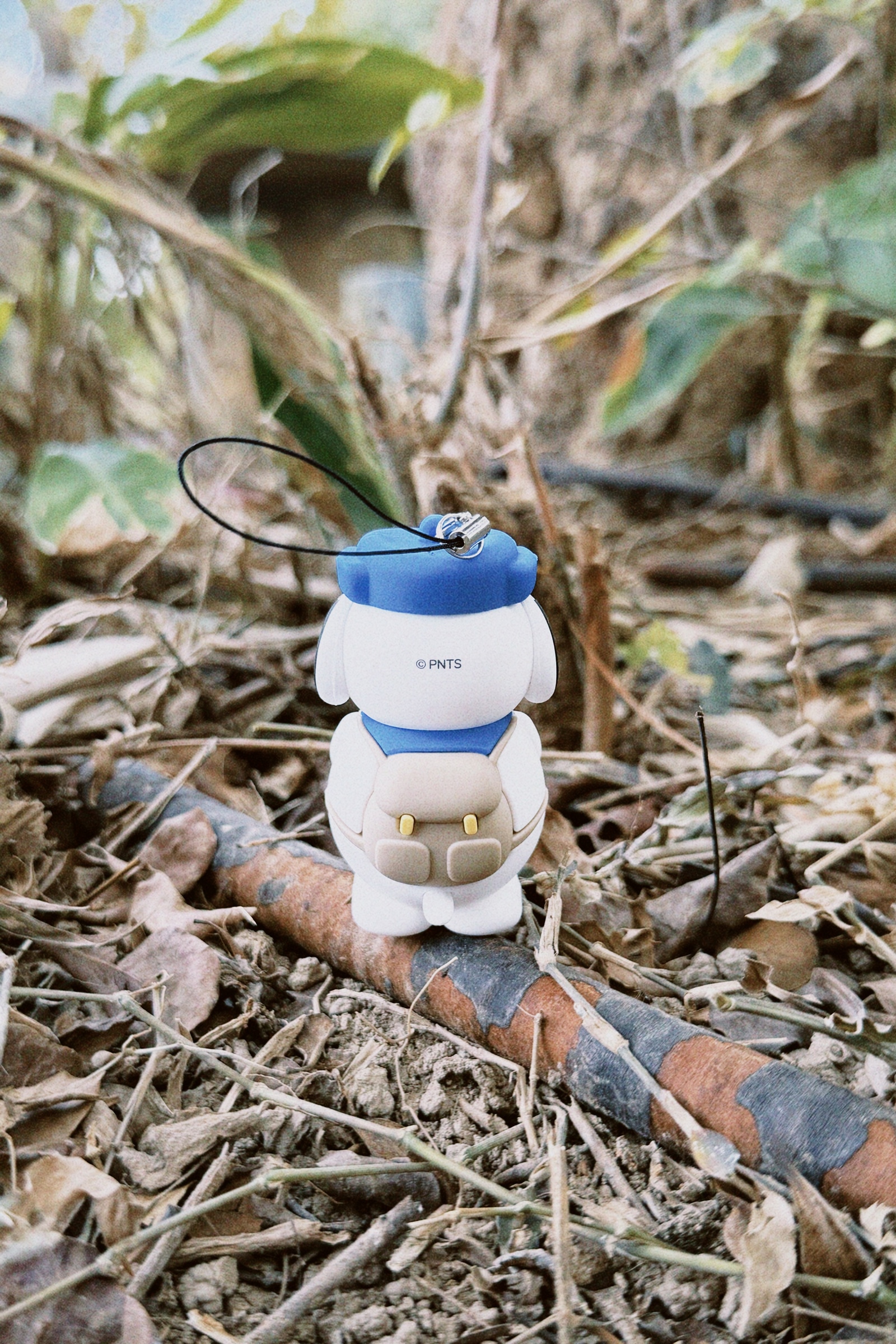 classicu 2026-01-13 151443.546