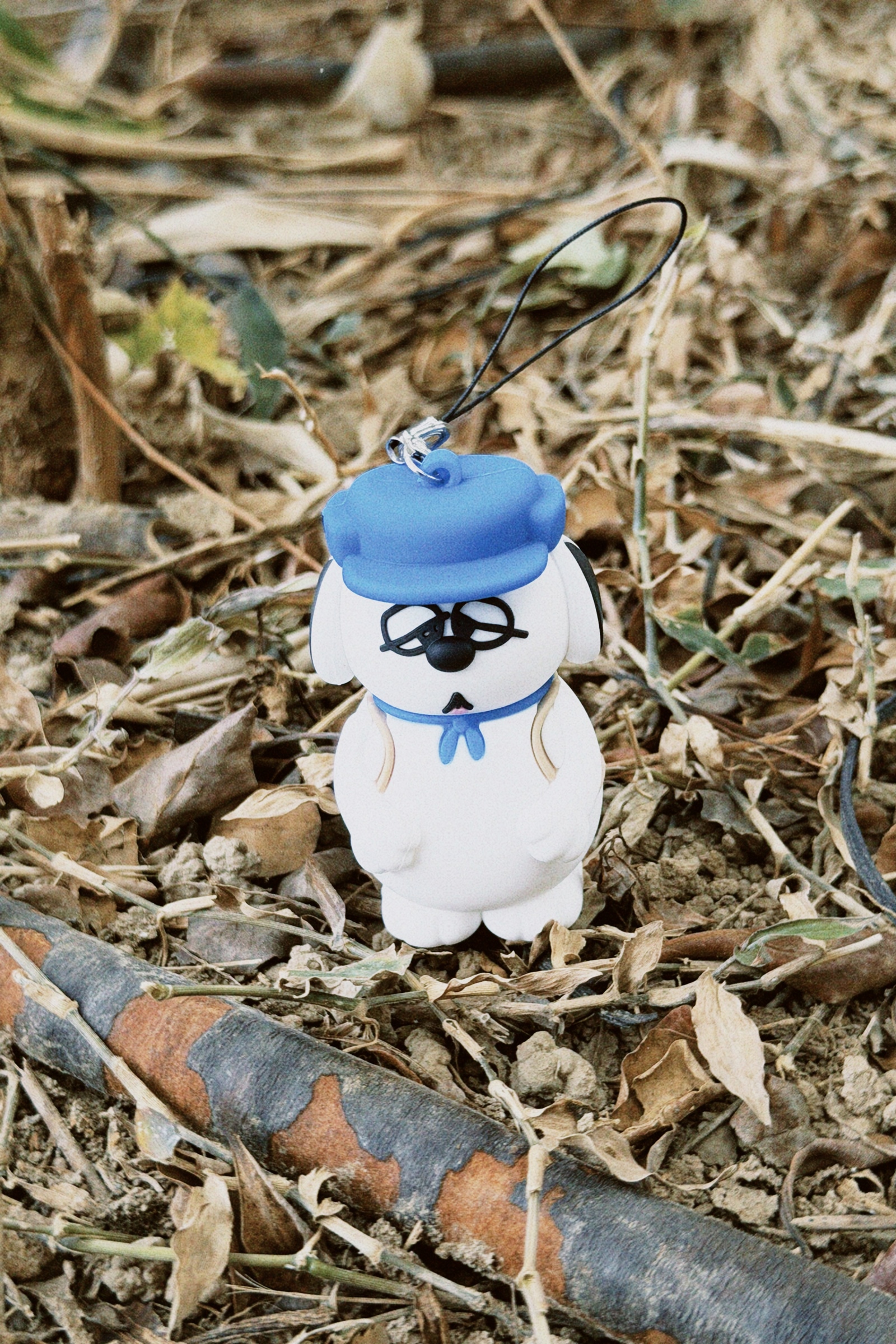 classicu 2026-01-13 112915.915