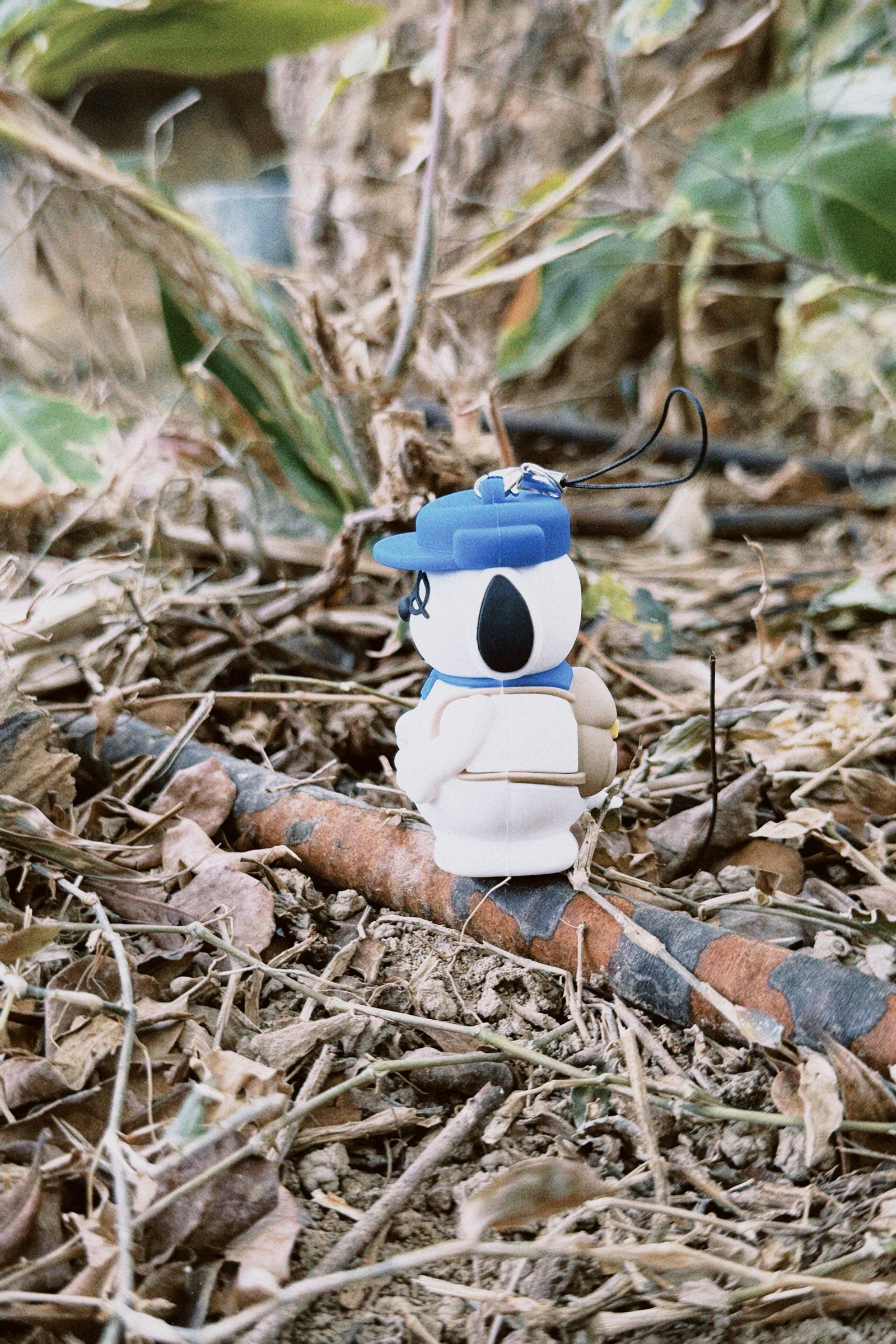 classicu 2026-01-13 151443.959