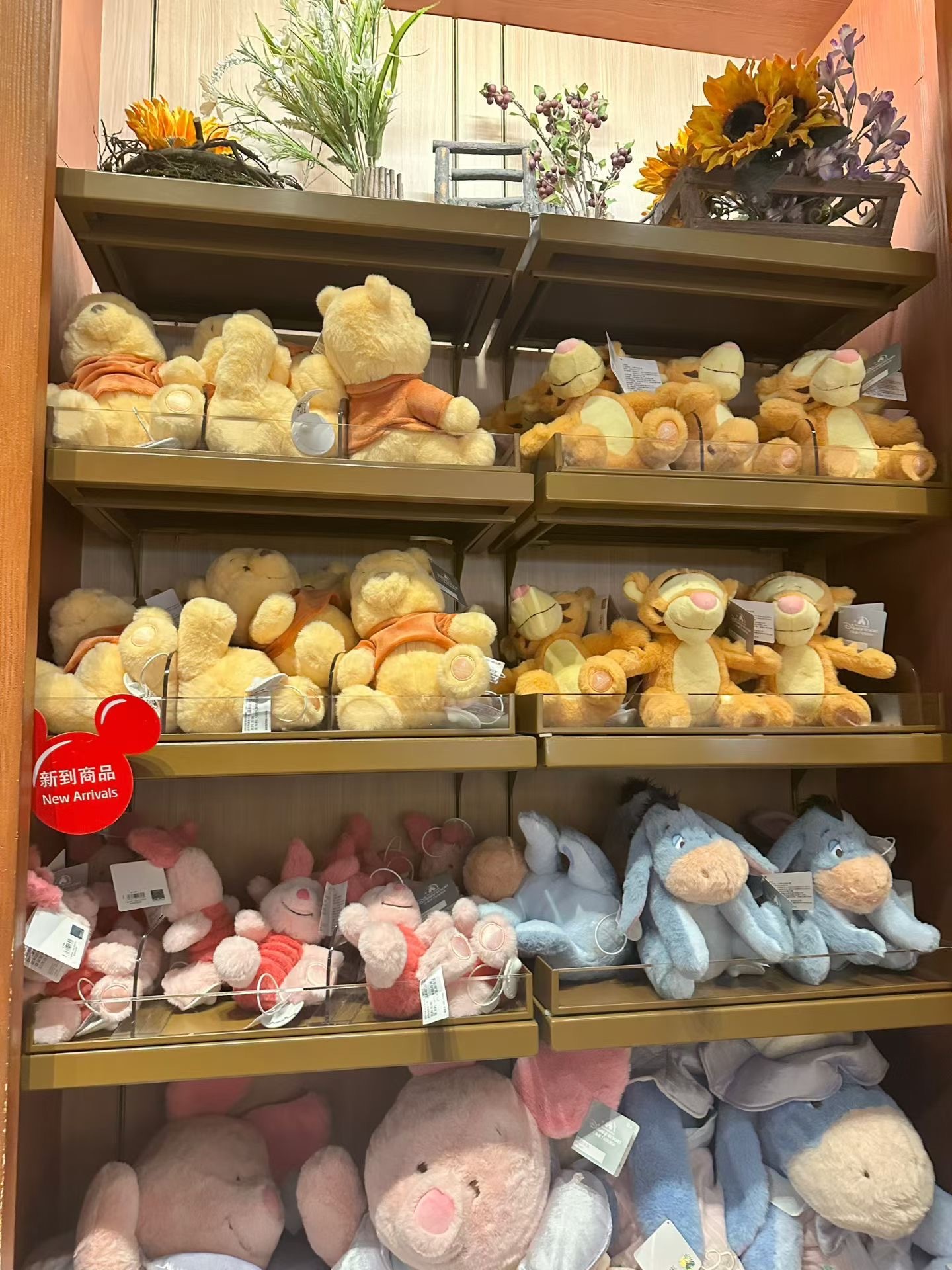 22a2c7845b582589be28e9228729c8d7