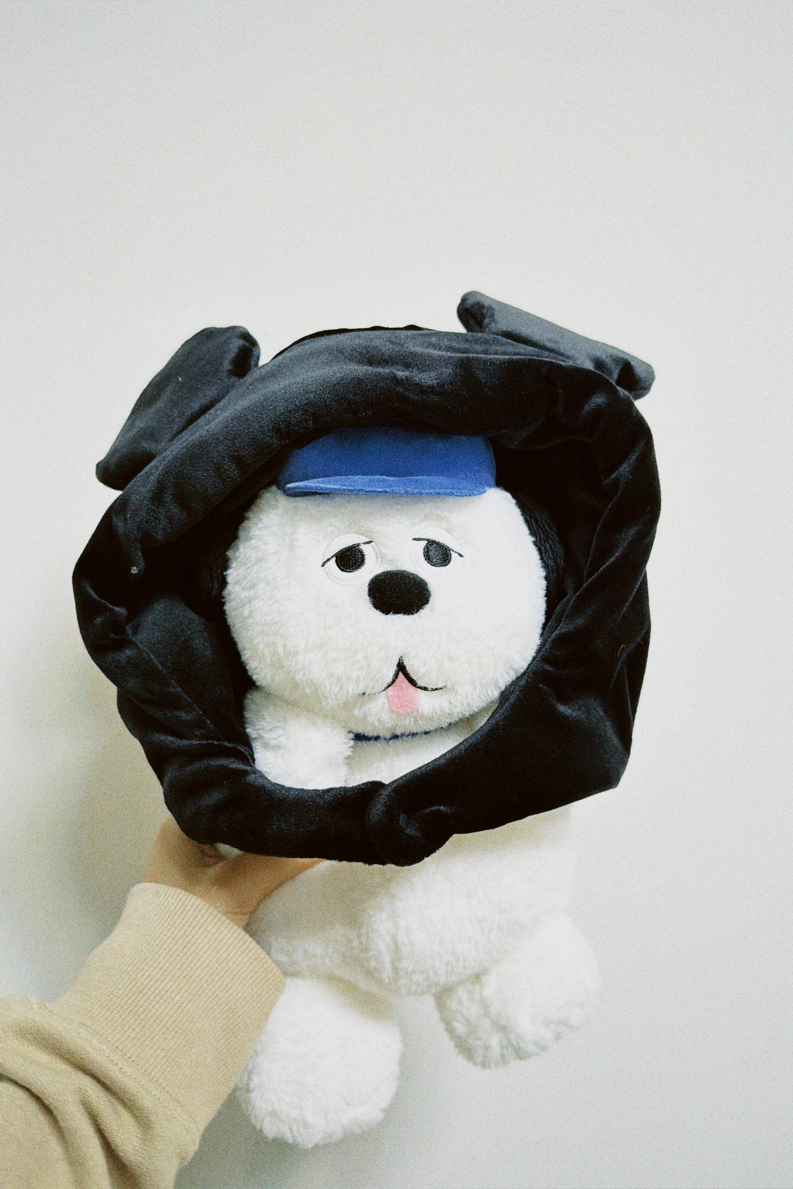 classicu 2026-01-26 163012.333