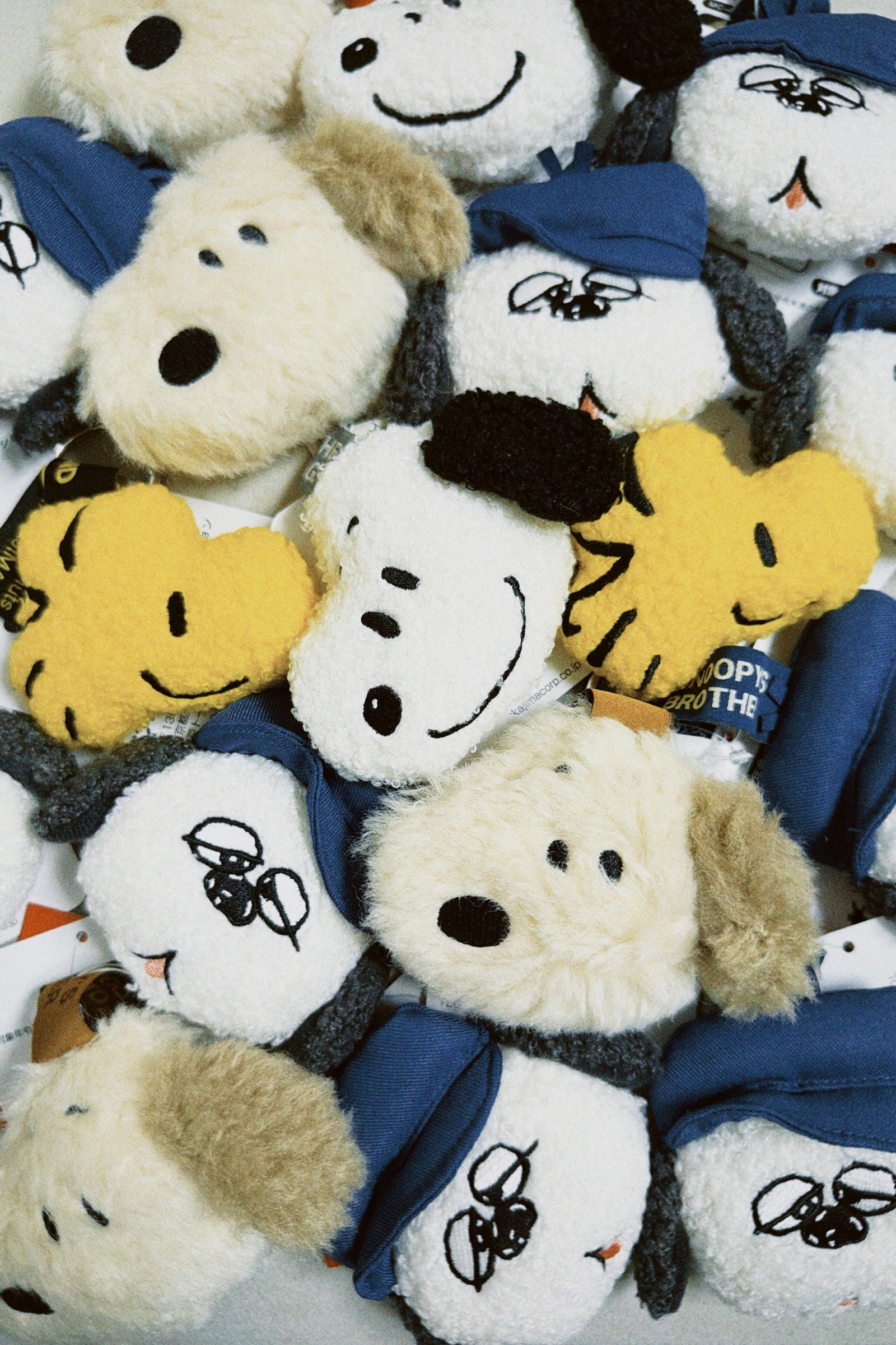 classicu 2026-02-01 133008427003349FCC