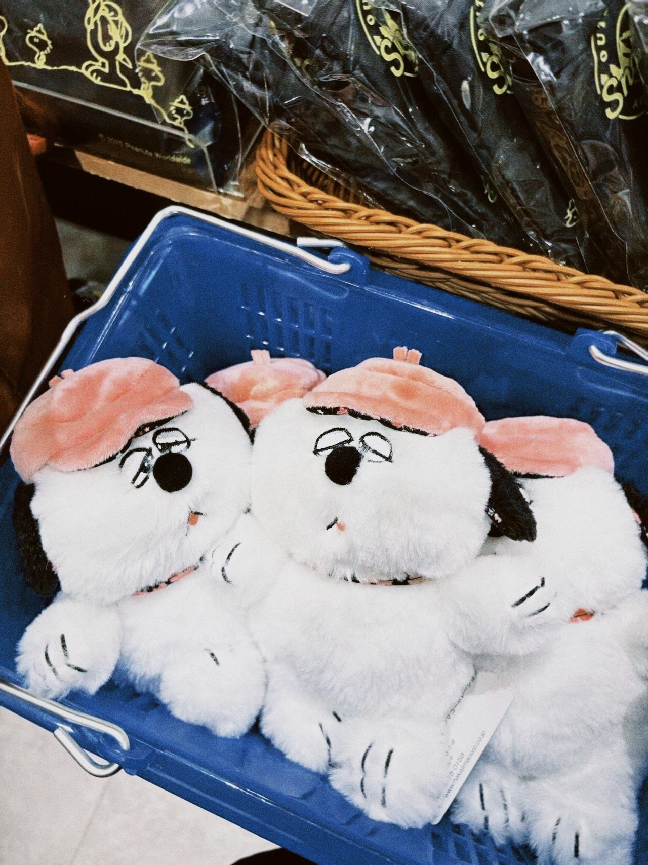 classicu 2026-02-26 124733CDBEA9F865AF