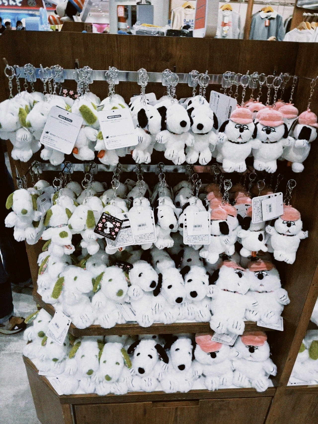 classicu 2026-02-23 181439139228805134