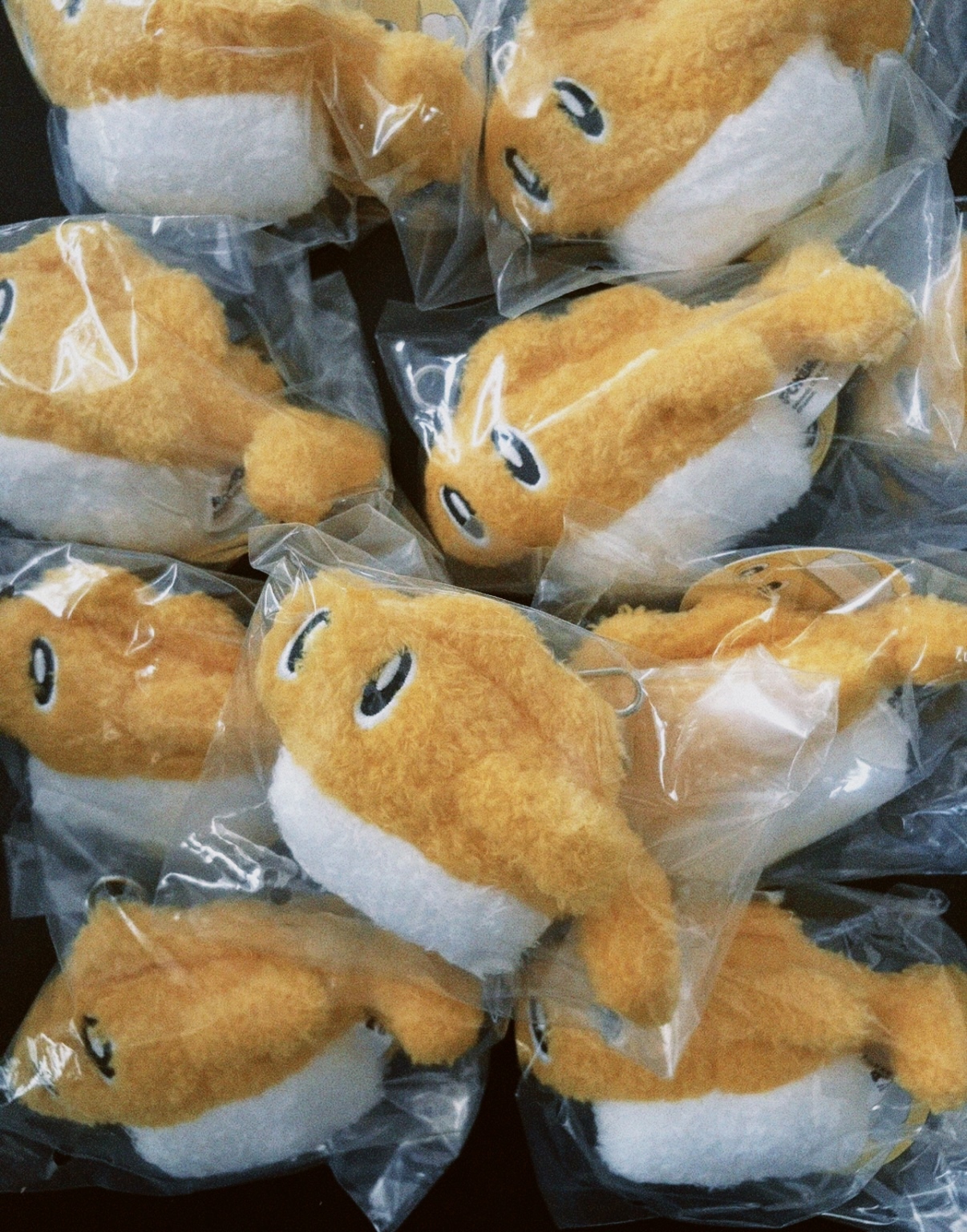 classicu 2026-02-27 1908450305B55A34EE