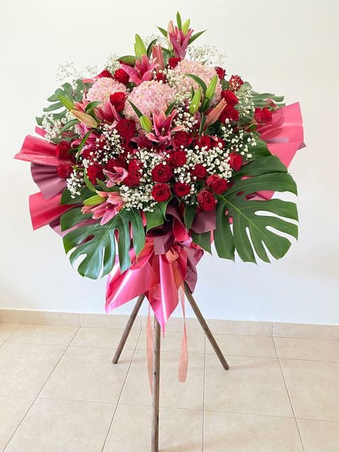 500 Opening 2022-01-08.jpeg