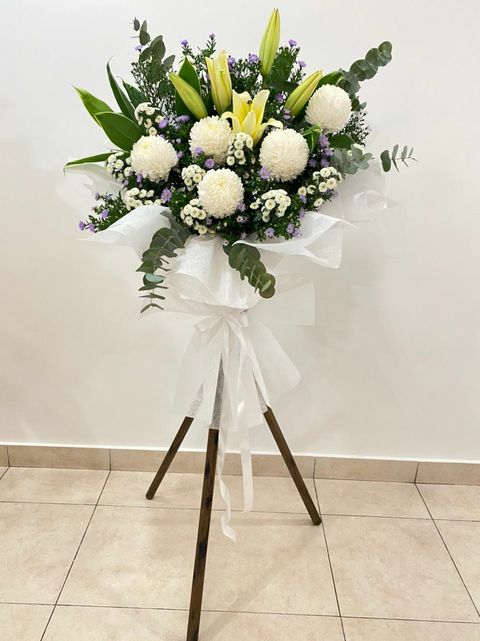 200 Sympathy 2022-01-08.jpeg