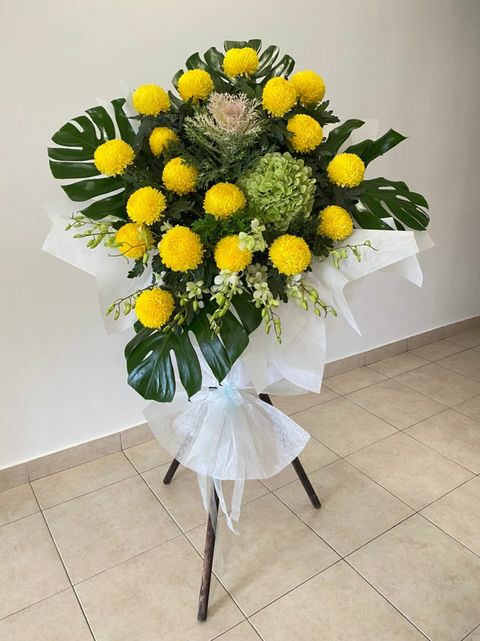 250 Sympathy 2021-12-12.jpeg