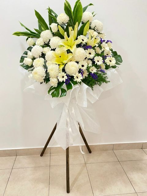 300 Sympathy 2022-01-08.jpeg