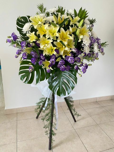 350 Sympathy 2021-11-20.jpeg