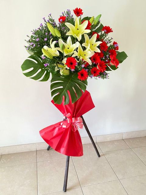 200 Opening 2022-03-02 at 3.50.33 PM.jpeg