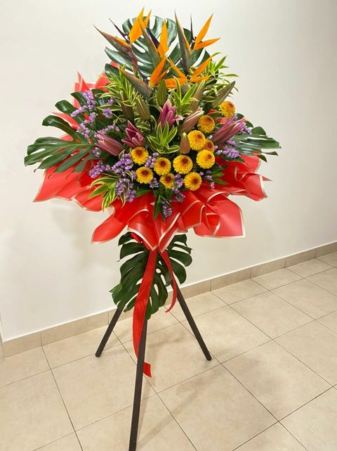 250 Opening 2021-12-16.jpeg