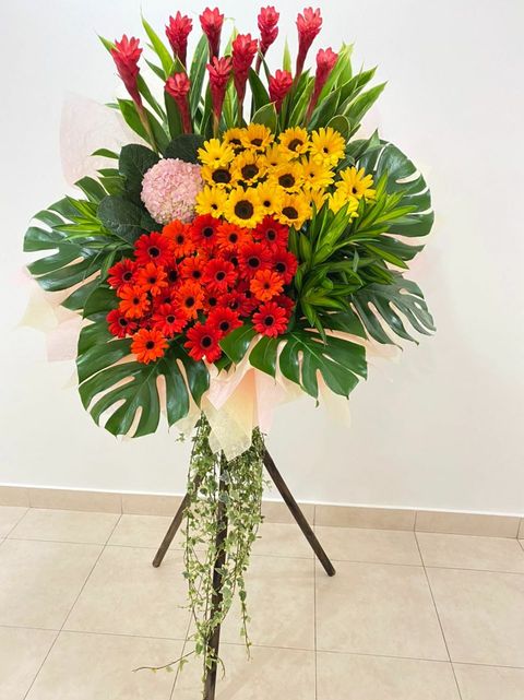 300 Opening 2022-01-05.jpeg