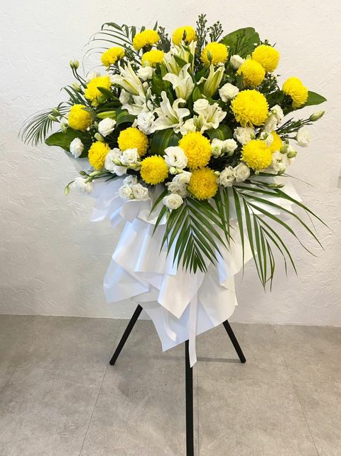 350 Sympathy 3.34.49 PM.jpeg