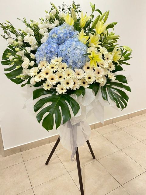 500 Sympathy 2021-12-08.jpeg