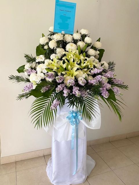 500 Sympathy 2022-03-02.jpg