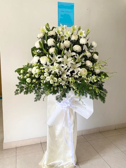 600 Sympathy 2022-03-02.jpg