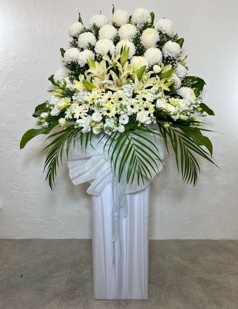 600 Sympathy 2022-04-16.jpg