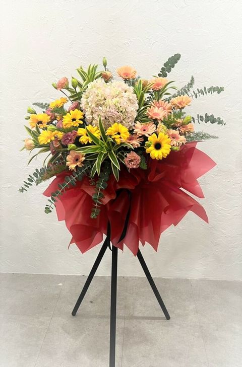 250 Opening 2022-05-11 at 10.07.03 PM.jpeg