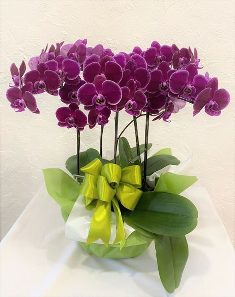 460 2022-04-20 at 3.47.55 PM.jpeg