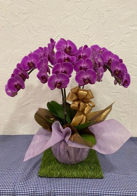 380 2022-03-11 at 12.08.23 PM.jpeg