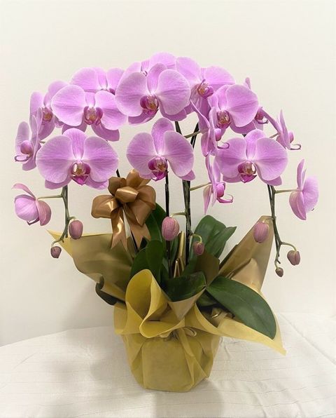 300 2022-03-02 at 10.14.07 PM.jpeg