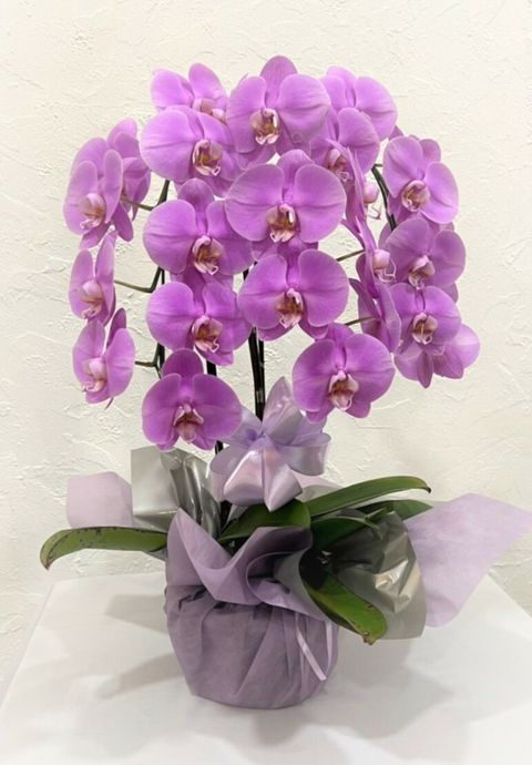 300 2022-05-10 at 9.55.59 PM.jpeg